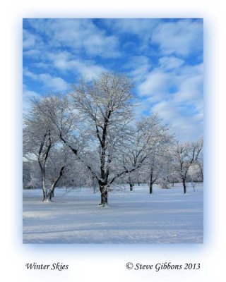 Winter Skies