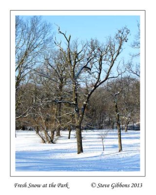 Fresh Snow at the Park