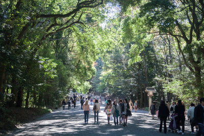 Meiji park
