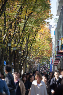 Balmy Saturday on Omotesando Avenue