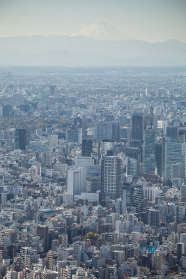 View from Skytree Tower
