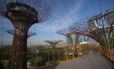Gardens by the Bay