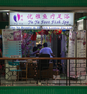 In search of a fish foot massage - 3