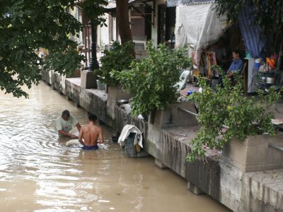 Canal life