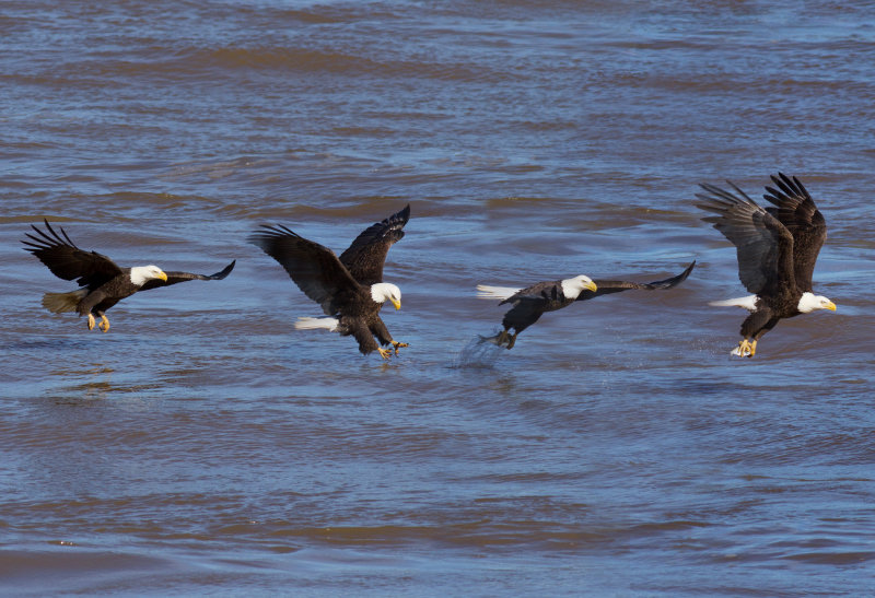 Fishing Sequence