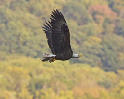 colorsofnature.jpg