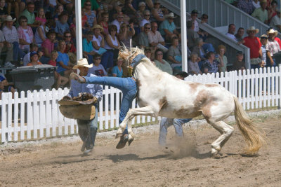 _MG_6726.jpg