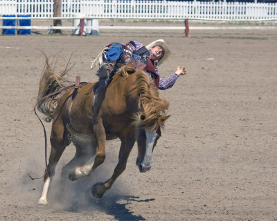 _MG_6555.jpg