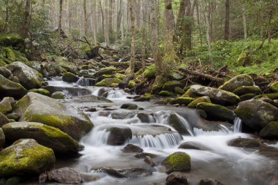 _MG_8757.jpg