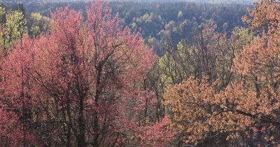 _MG_0102.jpg