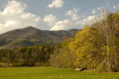 _MG_8877.jpg
