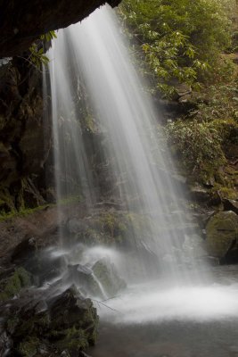 _MG_9777.jpg