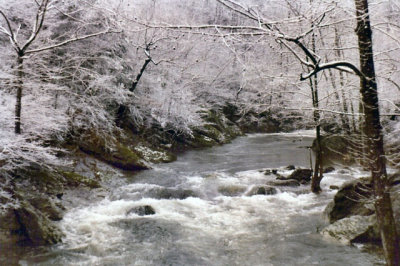 Great Smoky Mountain National Park#7