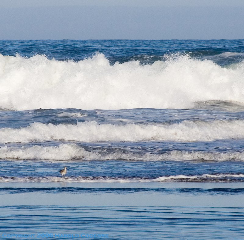 Surf at San Francisco [5011].jpg