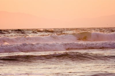 Pink surf [5307].jpg