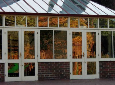 Windows in Autumn