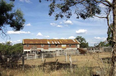 Aussie Shearing Shed