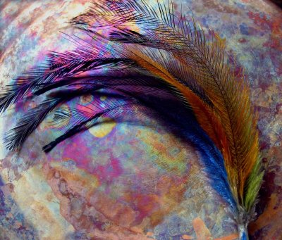 Feathers
