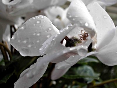 Hiding From the Rain