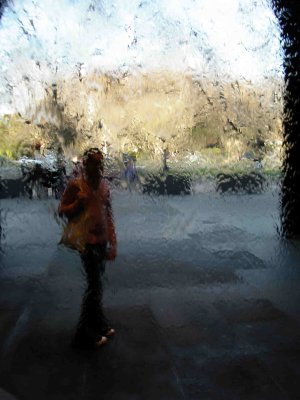 Through a Glass Darkly