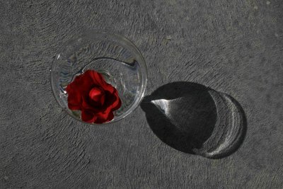 Red and Grey