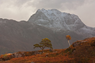 Slioch & Trees  - Loch Maree