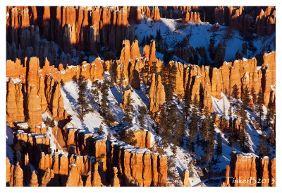 The Hoodoos - Bryce Canyon