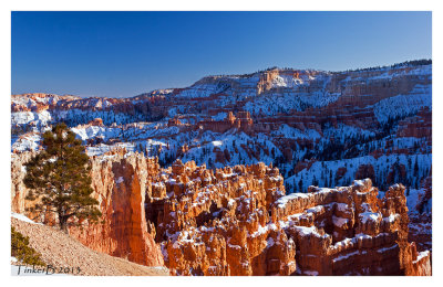 Almost Sunset at Sunrise Point Bryce Canyon