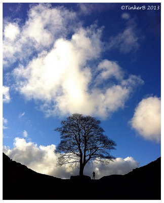 Sycamore Gap on Hadrian's Wall