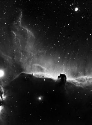 Horsehead Nebula.jpg