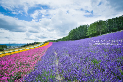 HOKKAIDO•SUMMER 2012