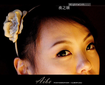 aibo_049.jpg