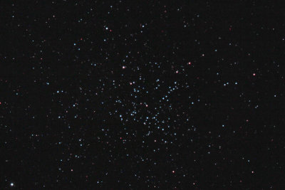 Starfish cluster
