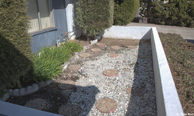 Patio Preps.jpg