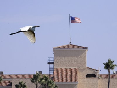 Fly By