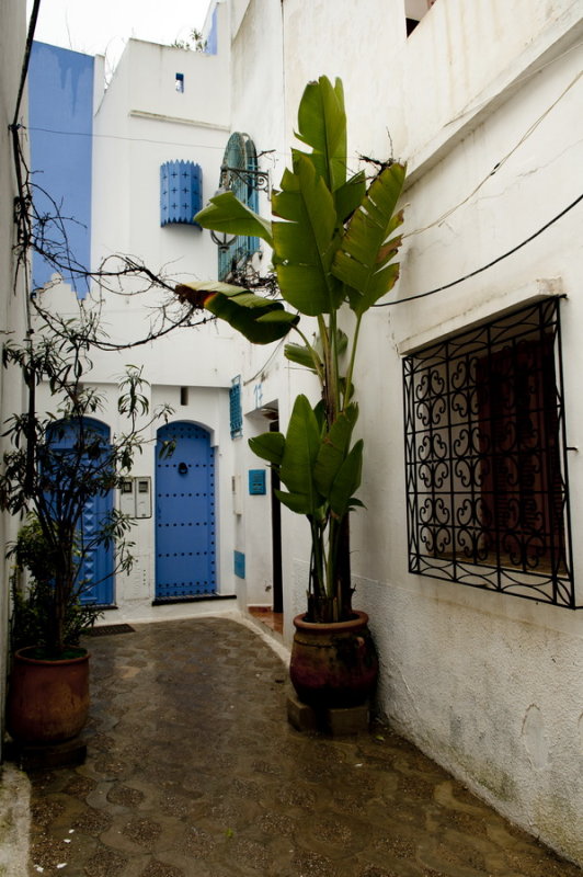 130307-171-Maroc-Asilah.jpg