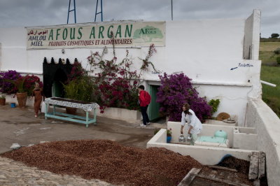 130304-010-Maroc-argan.jpg