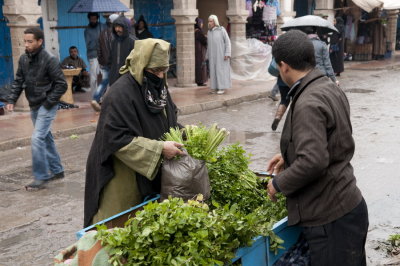 130304-047-Maroc-Essaouira.jpg