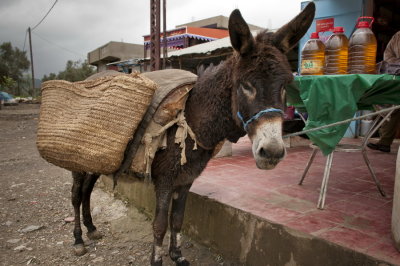 130309-268-Maroc.jpg