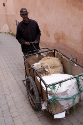 130311-345-Maroc-Meknes.jpg