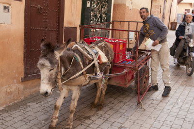 130311-346-Maroc-Meknes.jpg