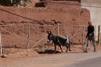 130314-479-Maroc-Route des 1000 Kasbah.jpg