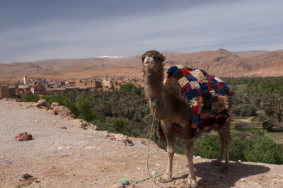 130314-486-Maroc-Route des 1000 Kasbah.jpg