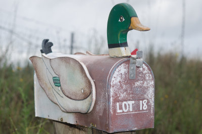 Duckmail