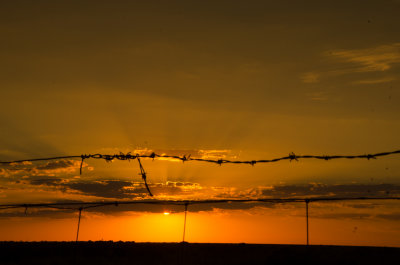 Conargo plains sunset 1 of 2.jpg