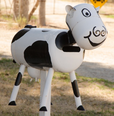 A happy cow ?