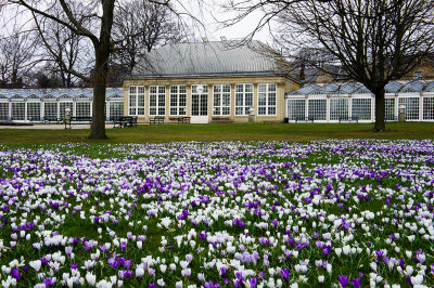 9 April: Botanical Gardens