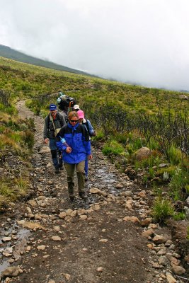 Nearing Horombo huts