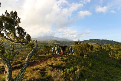 Trekking on Kilimanjaro