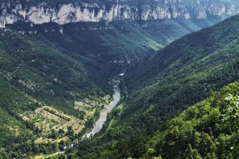 gorges du tarn.millau